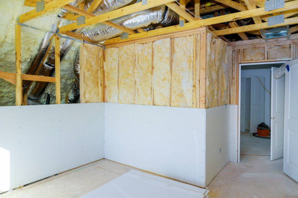 Best Insulation Maintenance and Repair in Susitna North, AK