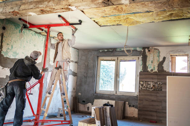 Best Eco-Friendly Insulation in Susitna North, AK