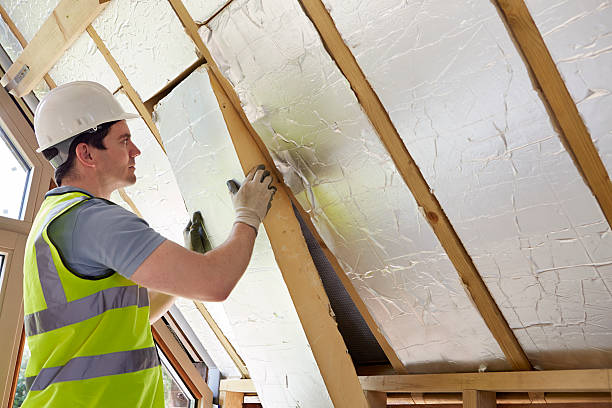 Best Spray Foam Insulation in Susitna North, AK