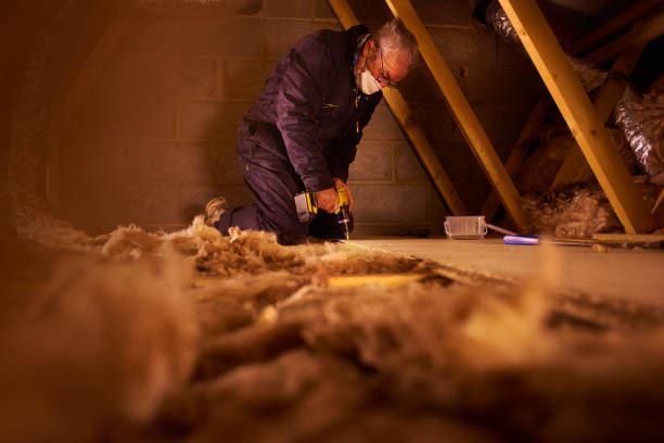 Types of Insulation We Offer in Susitna North, AK